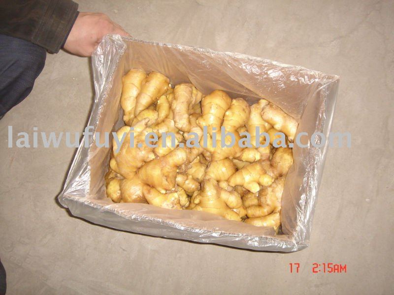 chinese fresh ginger