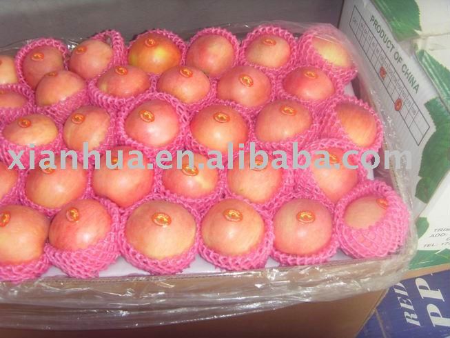 2010 New Crop Chinese Fresh Red Delicious Fuji Apple