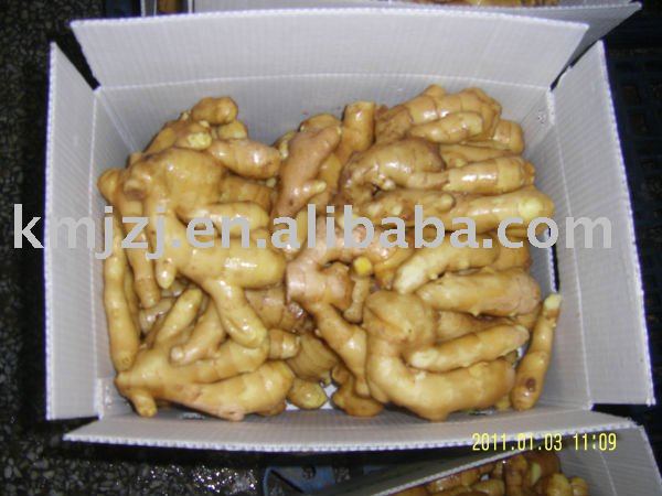 2011 Hot sale  Fresh   Wet   Ginger 
