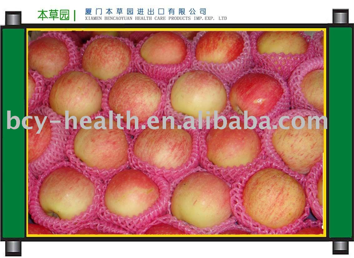 Fuji Apple