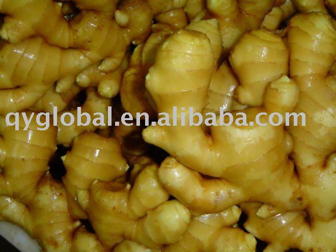 Fresh Young Ginger with FDA