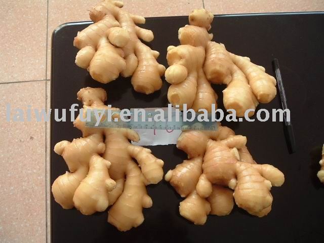 fresh ginger
