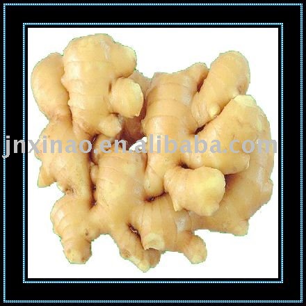 2010chinese fresh yellow young shandong  ginger