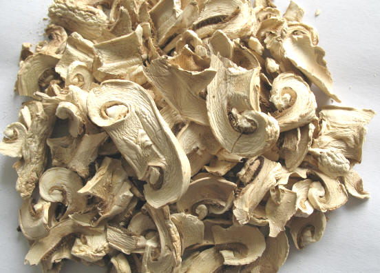 AD button mushroom flakes