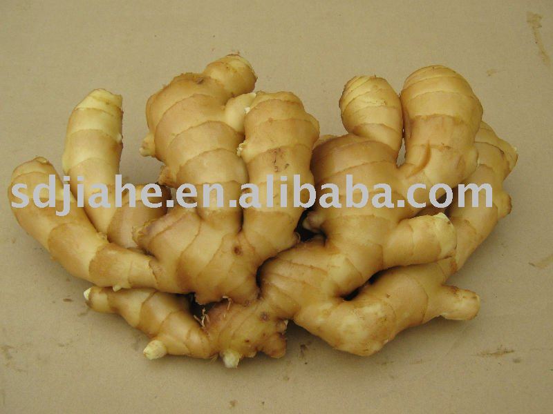 ginger