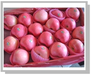 fresh  FUJI apple
