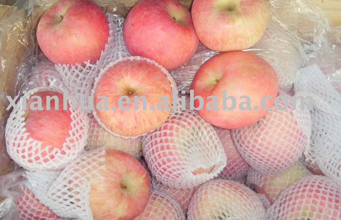 2010 New Crop Chinese Fresh Red Fuji Apple