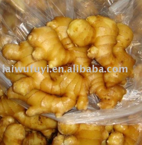 Fresh chinese Ginger