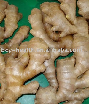 Fresh Ginger
