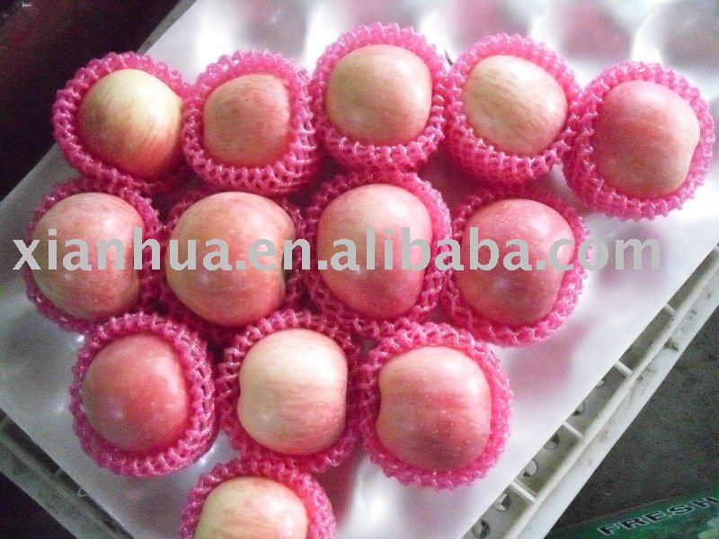 2010 New Crop Chinese Red Fresh Fuji Apple