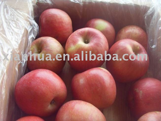 2010 New Crop Fresh Red Fuji Apple