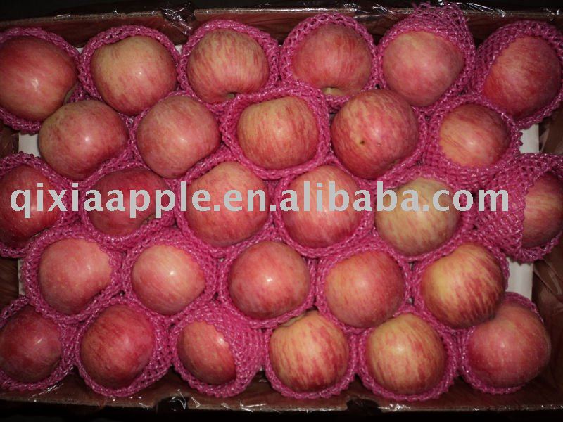  red   fresh   fuji   apple  fruit