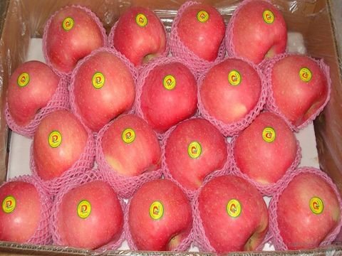 fresh apple(TOP SALE!!!)