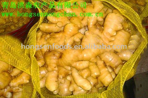  mesh   bag  fresh ginger