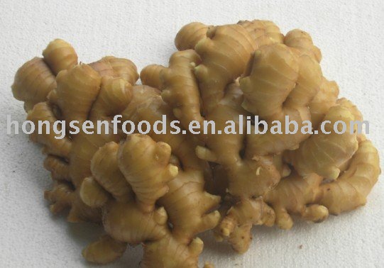 nature fresh ginger