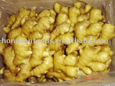 laiwu fresh ginger