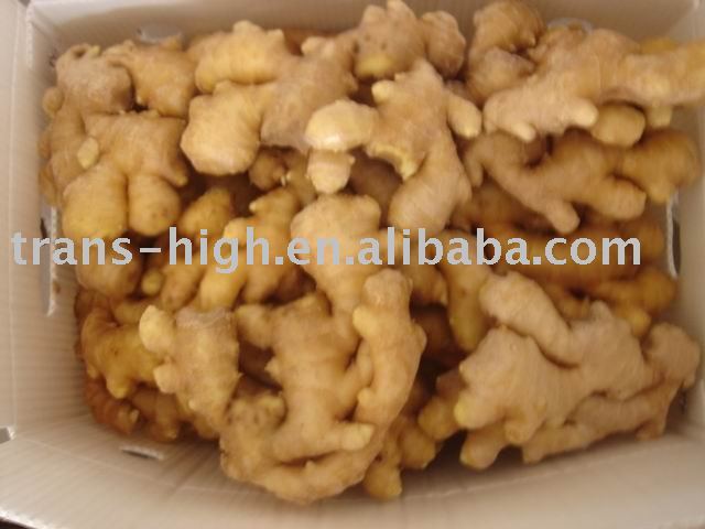 air-dried ginger