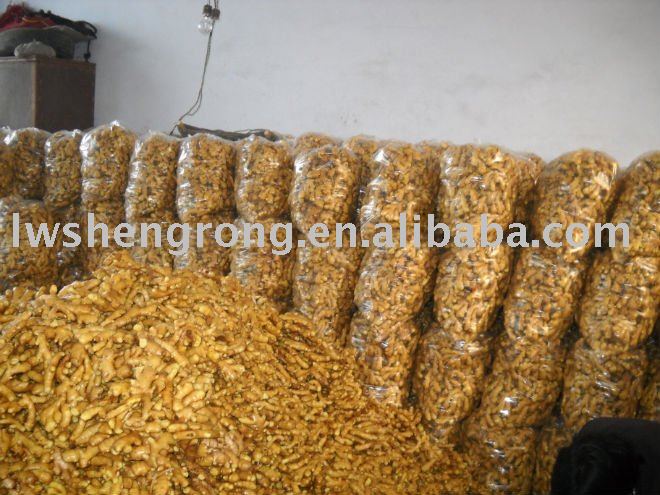 Young Ginger ,laiwu ginger,150g ginger