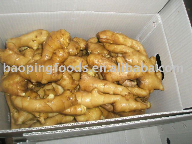 2011 fresh ginger in carton