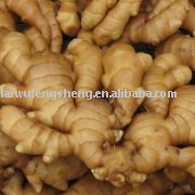 250g fresh ginger