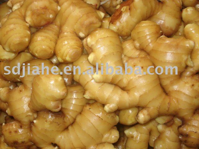 chinese fresh ginger