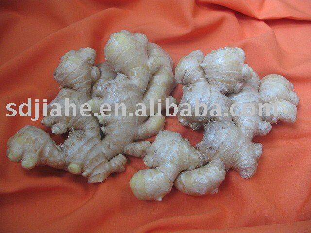 dry ginger