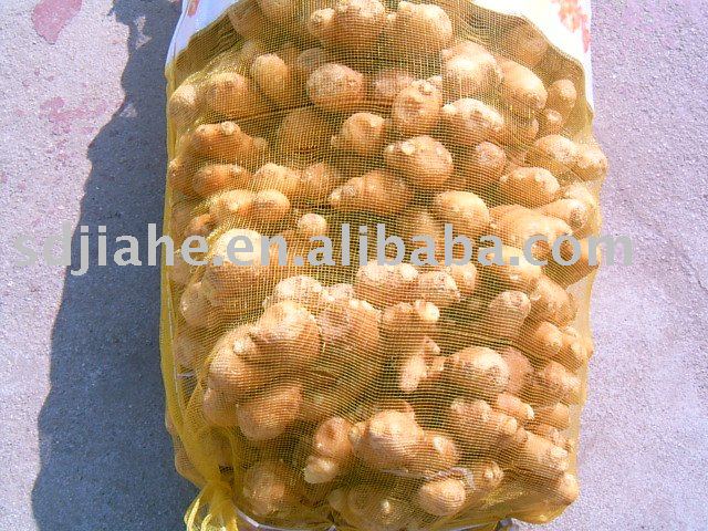 yellow ginger