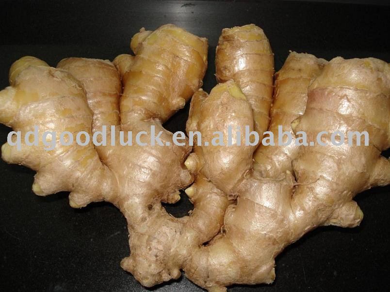 Fresh Young Ginger