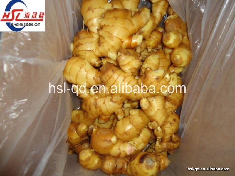 2011 new fresh ginger from China