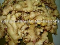 fresh mature ginger root 300g