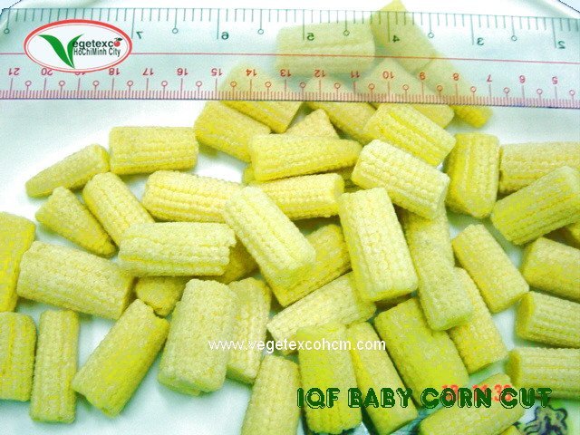  IQF   BABY   CORN   CUT 