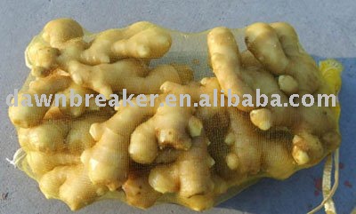 China fresh ginger