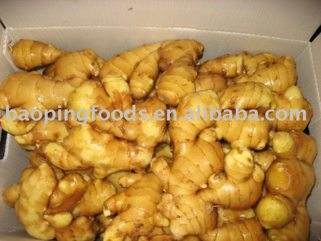 air dry ginger in carton