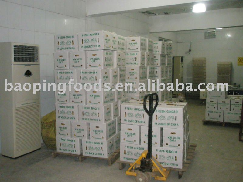 fresh air dry  ginger  in  carton 