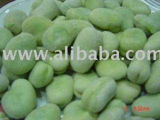 IQF   Frozen   Broad   Beans 