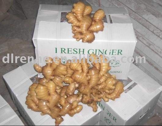 Fresh Ginger 150g up