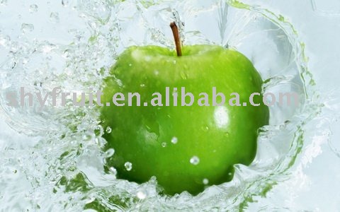 SHAANXI green apple on sale now(HOT!!!)