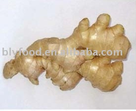 dried ginger,fresh ginger,china ginger