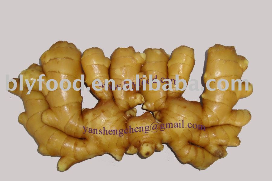 fresh ginger(China ginger, dried ginger)
