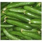 Freeze Dried Cucumber
