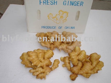 fresh ginger, China ginger, dried ginger