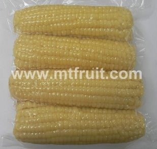 Frozen Sweet Corn
