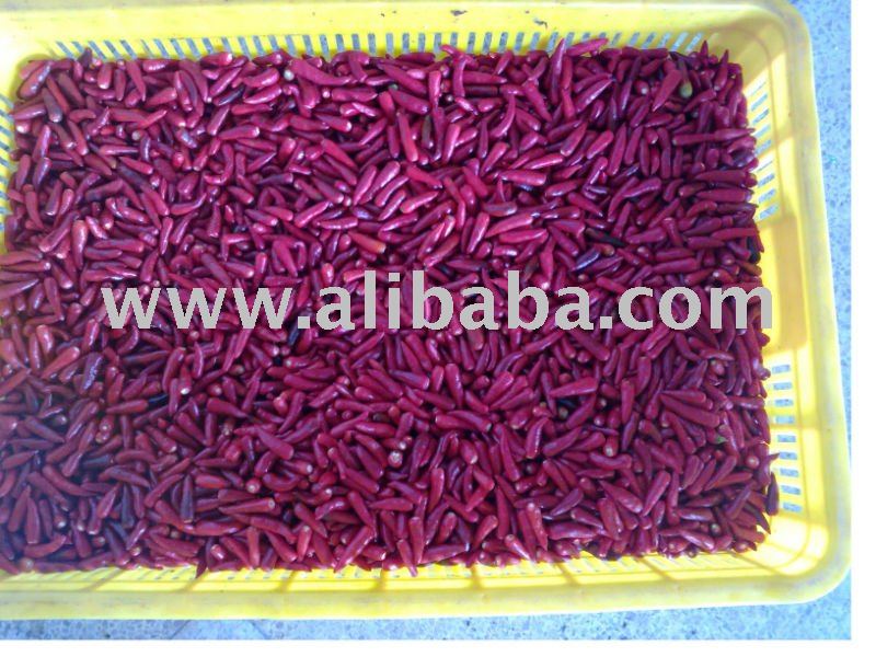  Frozen   red   chili 