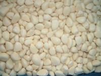 high quality frozen garlic clove