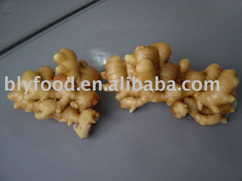 China Fresh Ginger