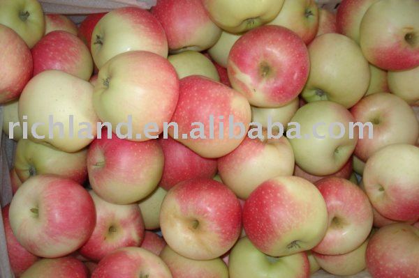 Fresh Gala Apple