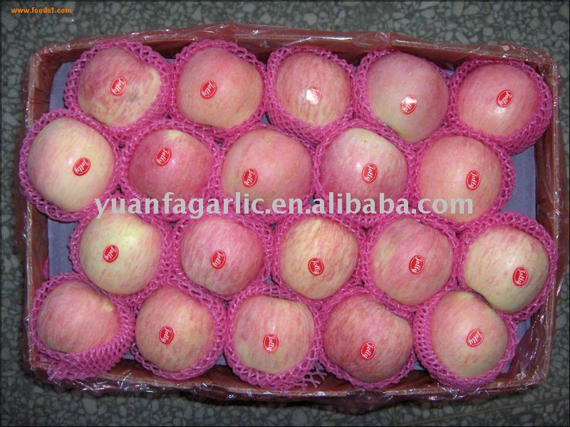 china fresh fuji apple
