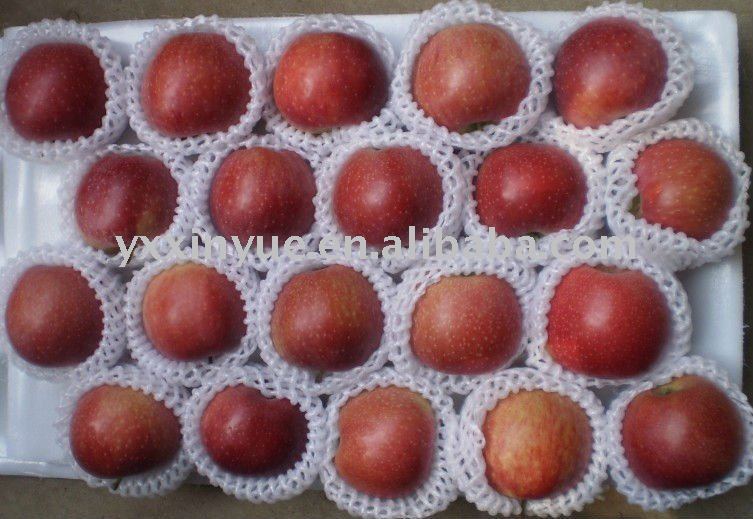 Beautiful Red  Qin  guan Apple