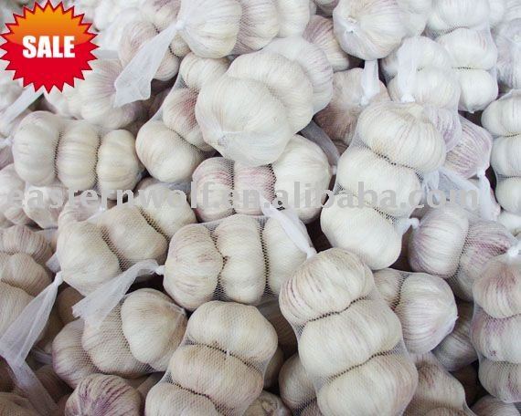  Delicious ,China  fresh   garlic 