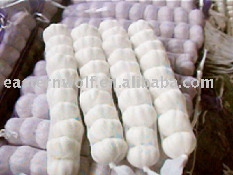 Fresh pure white garlic in 10kg mesh bag package . MOQ:1X40FCL